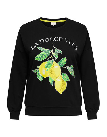 ONLY CARMAKOMA CARLACEY LIFE  L/S O-NECK SWEAT JRS