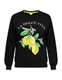 ONLY CARMAKOMA CARLACEY LIFE  L/S O-NECK SWEAT JRS