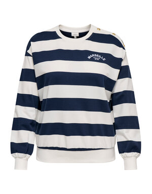 ONLY CARMAKOMA CARISLA LIFE L/S O-NECK SWEAT JRS