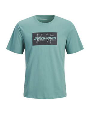 JACK&JONES PLUS JJCOLE PRINT TEE SS CREW NECK PLS