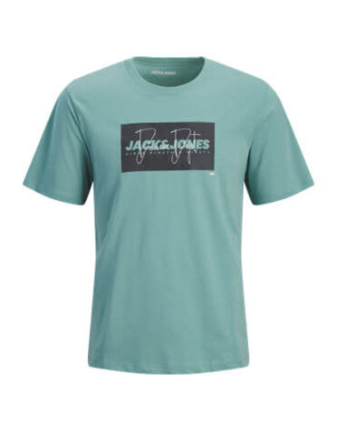 JACK&JONES PLUS JJCOLE PRINT TEE SS CREW NECK PLS