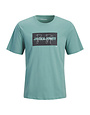 JACK&JONES PLUS JJCOLE PRINT TEE SS CREW NECK PLS