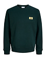 JACK&JONES PLUS JJRUSH SWEAT CREW NECK PLS