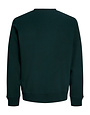 JACK&JONES PLUS JJRUSH SWEAT CREW NECK PLS