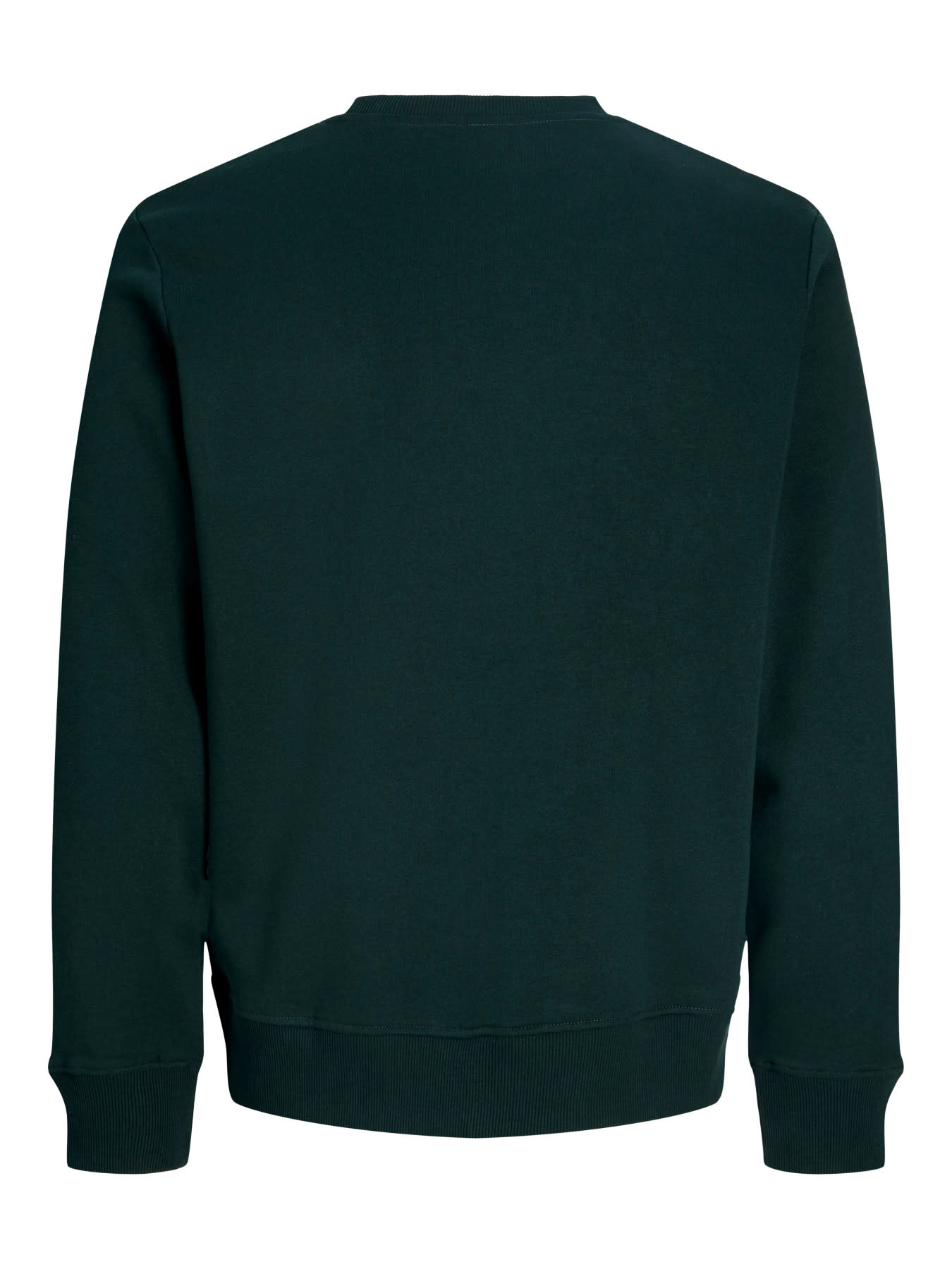 JACK&JONES PLUS JJRUSH SWEAT CREW NECK PLS