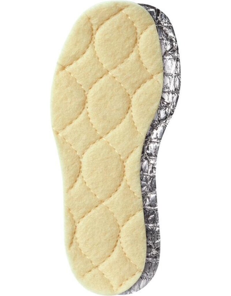 Solar – thermo inlegzool