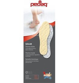 Solar – thermo inlegzool