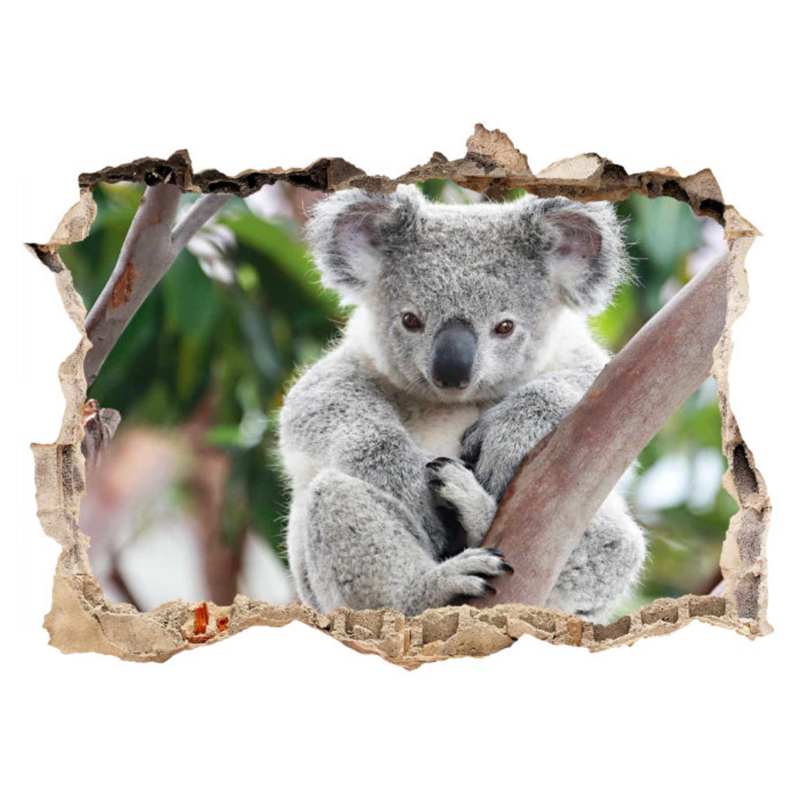 Alta Stickers 3d Muursticker Koala Beer