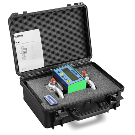 Dini Argeo MCWNT1-3  1 tons kraan unster Dini Argeo MCWNT1-3  1 tons kraan unster