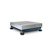 Dini Argeo Dini Argeo PBK Weegplateau RVS Dini Argeo Dini Argeo PBK Weegplateau RVS