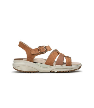 Xsensible Xsensible | Dames | Sandalen | Cognac (Rhodos 30037.5 330)