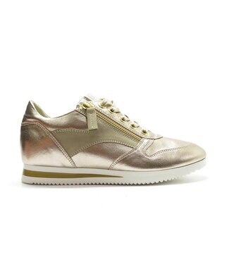 DLSport DL Sport | Dames | Sneakers | Goud (5668 03)