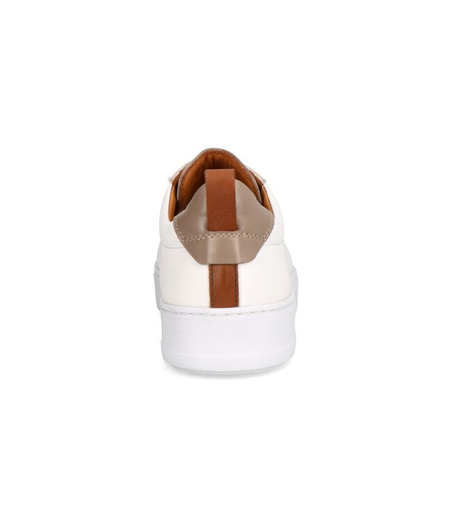 Berkelmans | Heren | Sneakers | White (242213810)