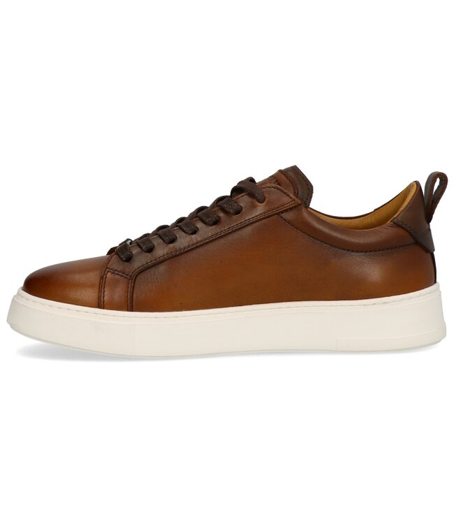 Berkelmans | Heren | Sneakers | Cognac (242029218)
