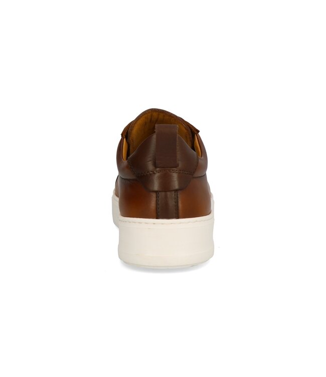 Berkelmans | Heren | Sneakers | Cognac (242029218)
