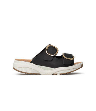 Xsensible Xsensible | Dames | Slippers | Black (30314.5 001)