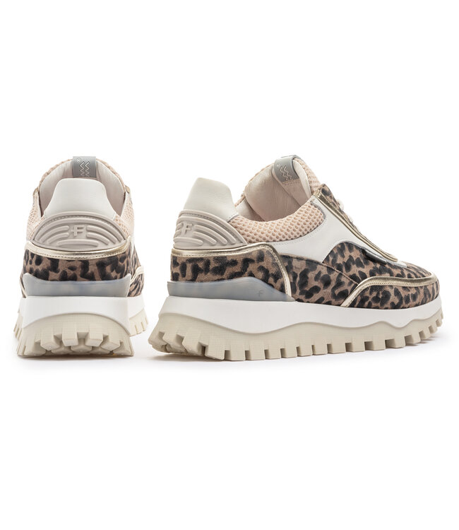Floris van Bommel Dames | Dames | Sneakers | Taupe (10131-34-01)