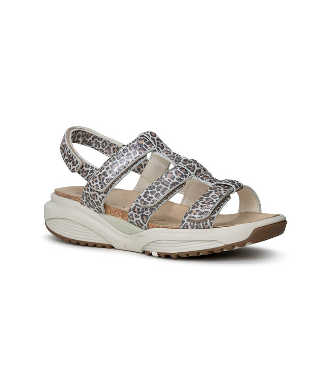 Xsensible | Dames | Sandalen | Leopard (30321.5 625)