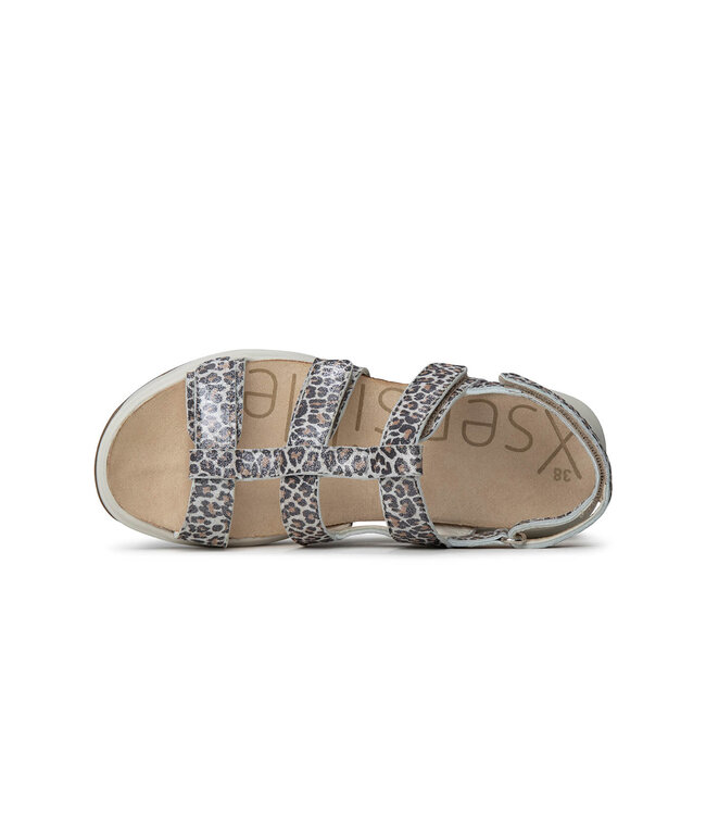 Xsensible | Dames | Sandalen | Leopard (30321.5 625)