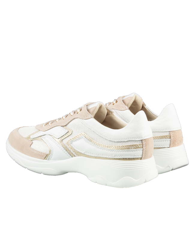 DL Sport | Dames | Sneakers |  Wit / Beige (6540 01)