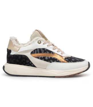 Floris van Bommel Dames Floris van Bommel | Dames | Sneakers | White (10138-60-01)