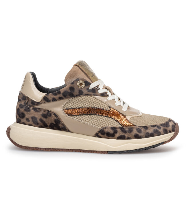 Floris van Bommel | Dames | Sneakers | Taupe (10138-34-01)