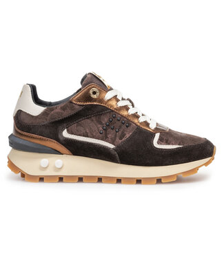 Floris van Bommel Dames Floris van Bommel | Dames | Sneakers | Dark Brown (10084-21-01)