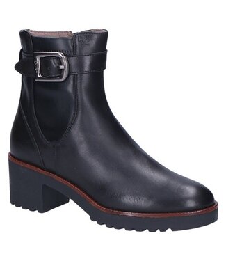 DLSport DL Sport | Dames | Korte Laars | Nero (6801 347)