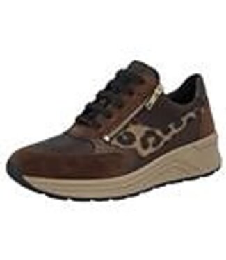 Solidus Solidus | Dames | Sneakers | Bruin (46023 - 30787 H)