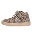 Bunnies Jr | Meisjes | Sneakers | Beige Leopard (225653-906)