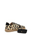 Babouche | Dames | Sneakers | Leopardo/Black (H-Ira-97)