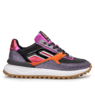 Floris van Bommel Dames Floris van Bommel | Dames | Sneakers | Purple (10128-43-01)