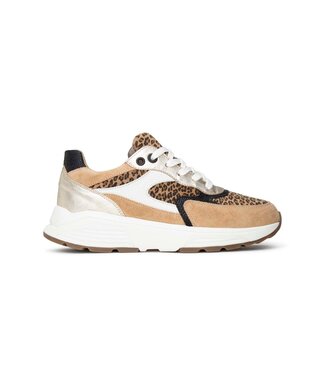 Xsensible Xsensible | Dames | Sneakers | Camel Combi  (33002.4 304)