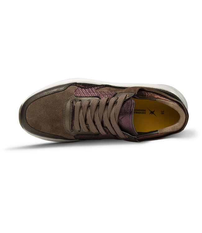 Xsensible | Dames | Sneakers | Bronze Combi (33000.2 396)