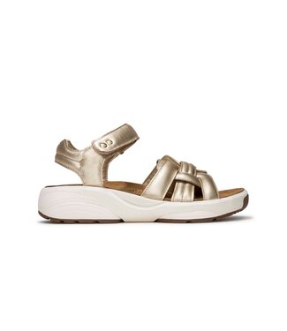 Xsensible Xsensible | Dames | Sandalen | Gold (30804.5 911)