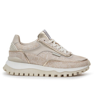 Floris van Bommel Dames Floris van Bommel Dames | Dames | Sneakers | Taupe (10131-34-02)