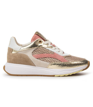Floris van Bommel Dames Floris van Bommel Dames | Dames | Sneakers | Gold (10138-91-01)
