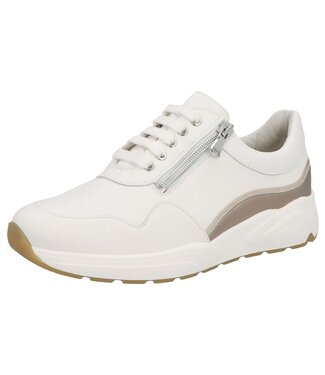 Solidus Solidus | Dames | Sneakers | Wit (66007 - 10369 K)