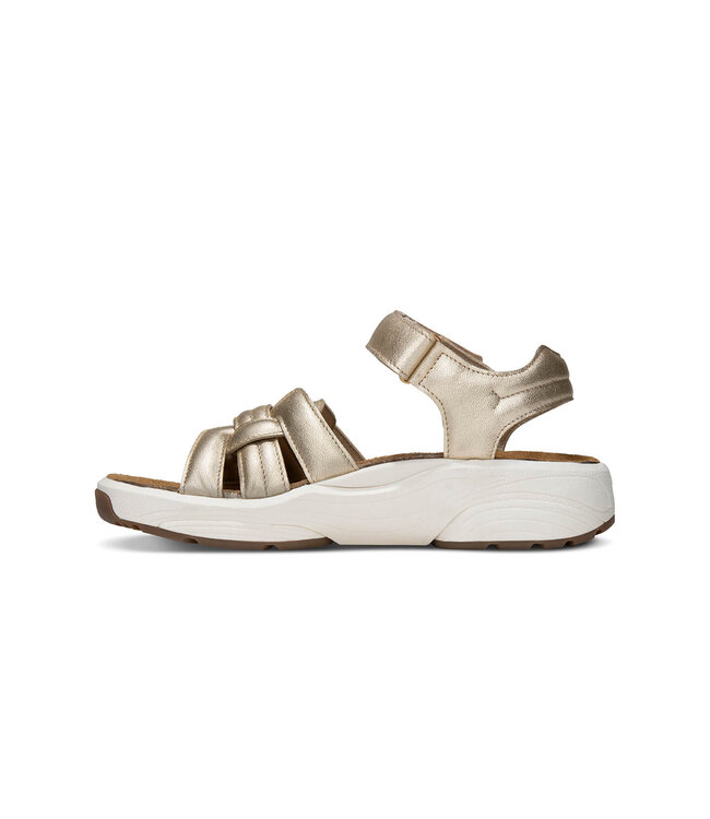 Xsensible | Dames | Sandalen | Gold (30804.5 911)