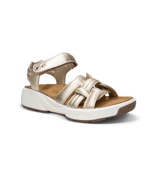 Xsensible | Dames | Sandalen | Gold (30804.5 911)