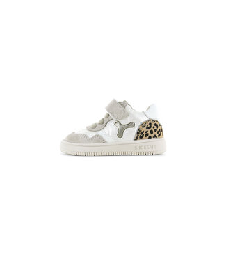 Shoesme Shoesme | Meisjes | Baby - Proof | Beige Leopard (BN26S012-B)