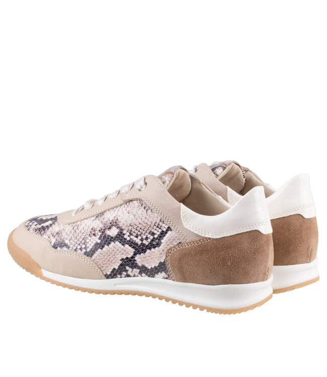 DL Sport | Dames | Sneakers | Sun Corda (6952)