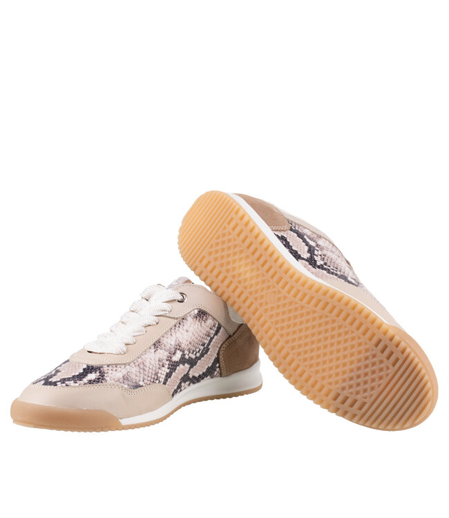 DL Sport | Dames | Sneakers | Sun Corda (6952)