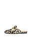 Babouche | Dames | Slippers | Leopardo (G-LARA-8)