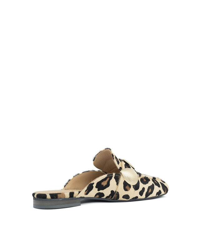 Babouche | Dames | Slippers | Leopardo (G-LARA-8)