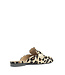 Babouche | Dames | Slippers | Leopardo (G-LARA-8)