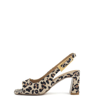 Babouche Babouche | Dames | Sandalen | Leopardo (G-BIBA-2)