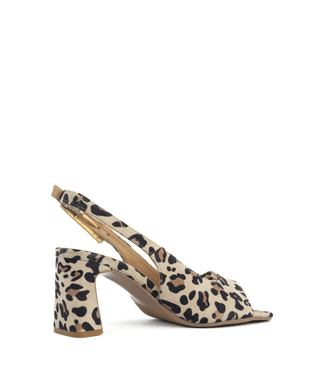Babouche | Dames | Sandalen | Leopardo (G-BIBA-2)