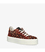 Floris van Bommel | Dames | Sneakers | Cognac (15020)