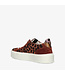 Floris van Bommel | Dames | Sneakers | Cognac (15020)